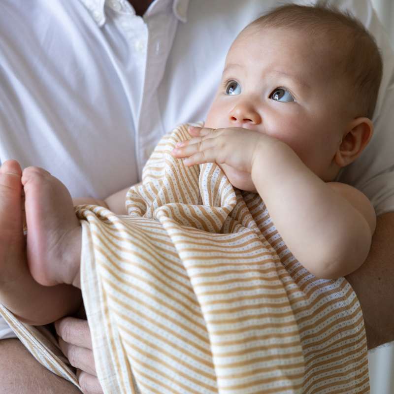 Cam Cam Copenhagen Stofble - 2-pack - GOTS - Oatfield