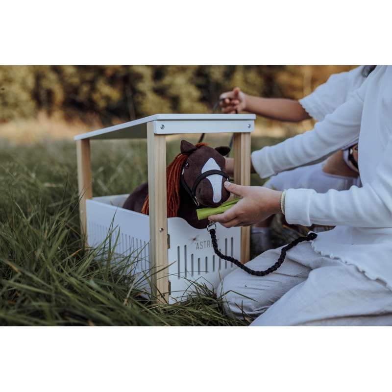 By Astrup Häststall för Krammeponny