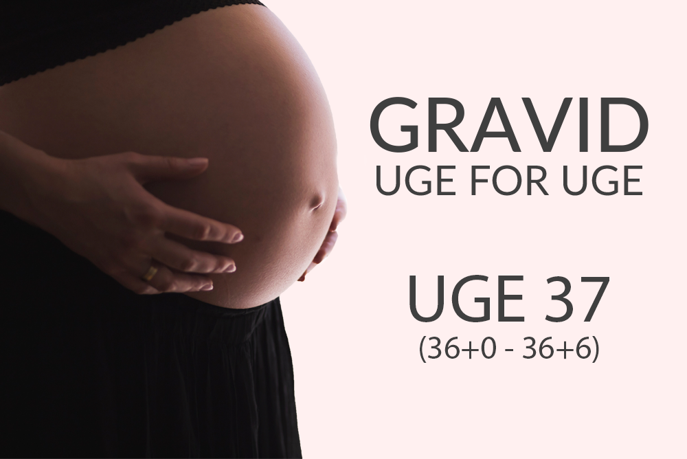 Uge 37 (36+0 - 36+5)