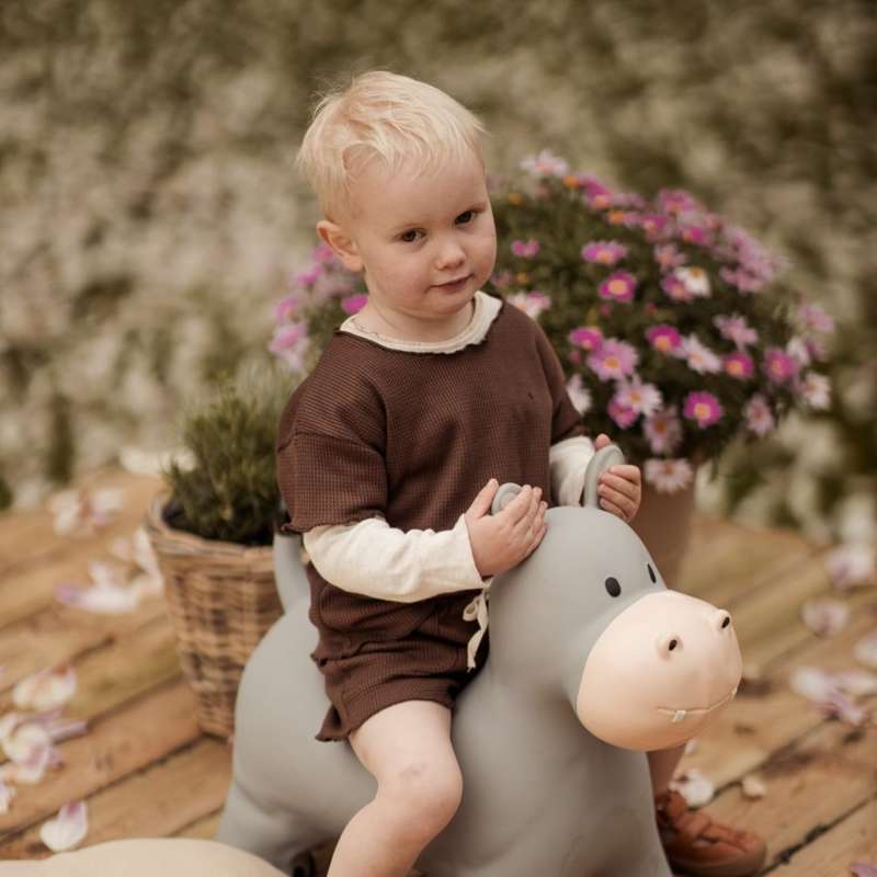 Hitta den där flodhästen Hoppedyr - Holger flodhästen 