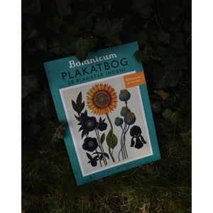 Förlaget Mammut Affischbok - Botanicum