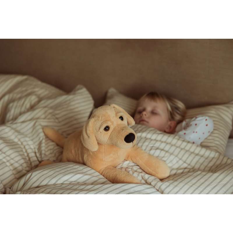 By Astrup Tyngdedjur - Hund - 2.2kg 