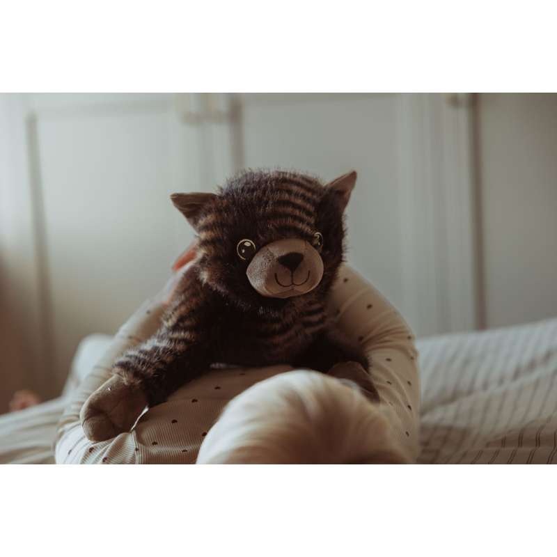 By Astrup Tyngdedjur - Katt - 1.2kg 